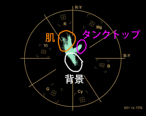 特定色域の選択 肌の色を調整 変更する方法 Ae 動画補正